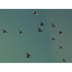 Intelligent Bronze Clock fr-FR